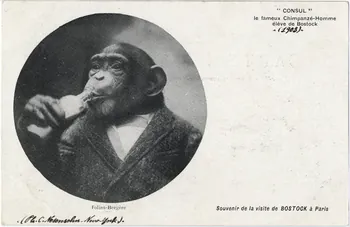 C. Nesenshon Souvenir de la visite de Bostock à Paris. 1903. Consul le fameux chimpanzé-homme élève de Bostock. Folies-Bergère Paris, New York (Etats-Unis d'Amérique) 1903 Sou.6.84.2  Photo