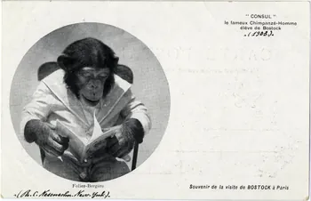 C. Nesenshon Souvenir de la visite de Bostock à Paris. 1903. Consul le fameux chimpanzé-homme élève de Bostock. Folies-Bergère Paris, New York (Etats-Unis d'Amérique) 1903 Sou.6.85.1  Photo