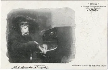 C. Nesenshon Souvenir de la visite de Bostock à Paris. 1903. Consul le fameux chimpanzé-homme élève de Bostock. Folies-Bergère Paris, New York (Etats-Unis d'Amérique) 1903 Sou.6.85.2  Photo