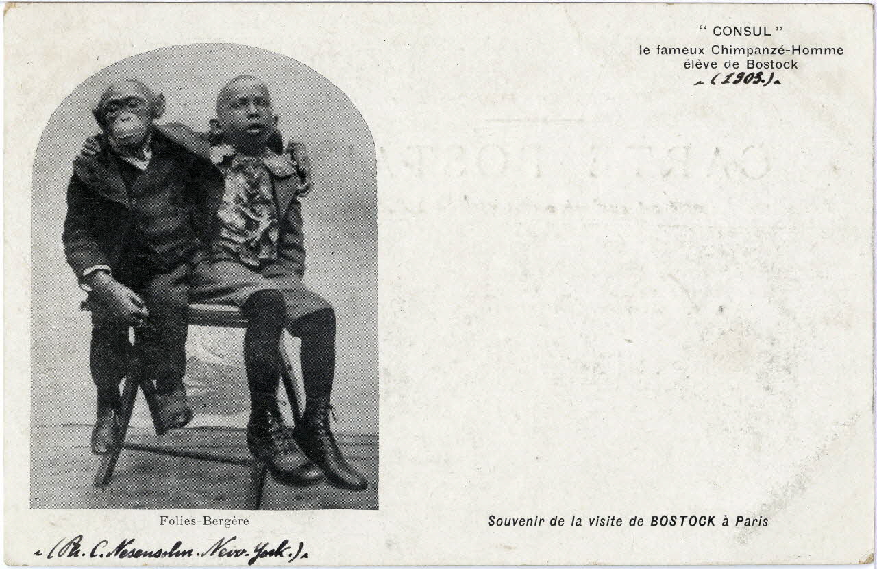 C. Nesenshon Souvenir de la visite de Bostock à Paris. 1903. Consul le fameux chimpanzé-homme élève de Bostock. Folies-Bergère Paris, New York (Etats-Unis d'Amérique) 1903 Sou.6.86.1 Photo