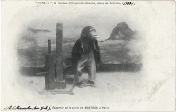 C. Nesenshon Souvenir de la visite de Bostock à Paris. 1903. Consul le fameux chimpanzé-homme élève de Bostock. Folies-Bergère Paris, New York (Etats-Unis d'Amérique) 1903 Sou.6.87.1  Photo
