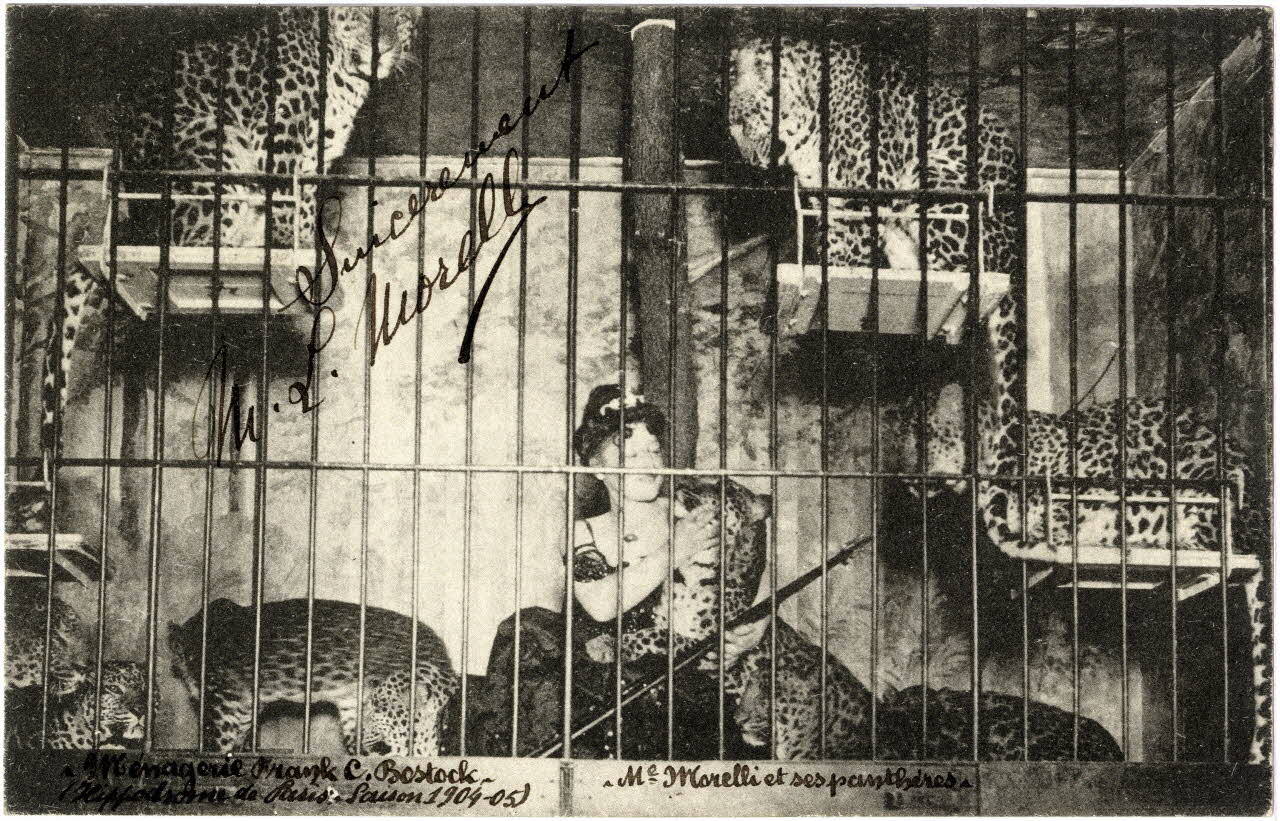 Anonyme Ménagerie Frank C. Bostock. Hippodrome de Paris. Saison 1904-1905. Mme Morelli et ses panthères Paris 1904-1905 Sou.7.11.2  Photo