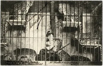 Anonyme Ménagerie Frank C. Bostock. Hippodrome de Paris. Saison 1904-1905. Mme Morelli et ses panthères Paris 1904-1905 Sou.7.11.2 Photo