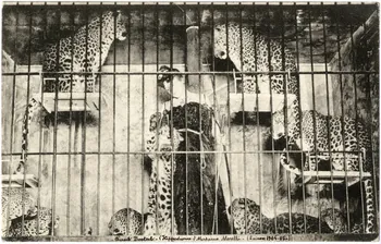 Anonyme Frank Bostock (hippodrome). Madame Morelli (saison 1904-1905) Paris 1904-1905 Sou.7.12.2 Photo