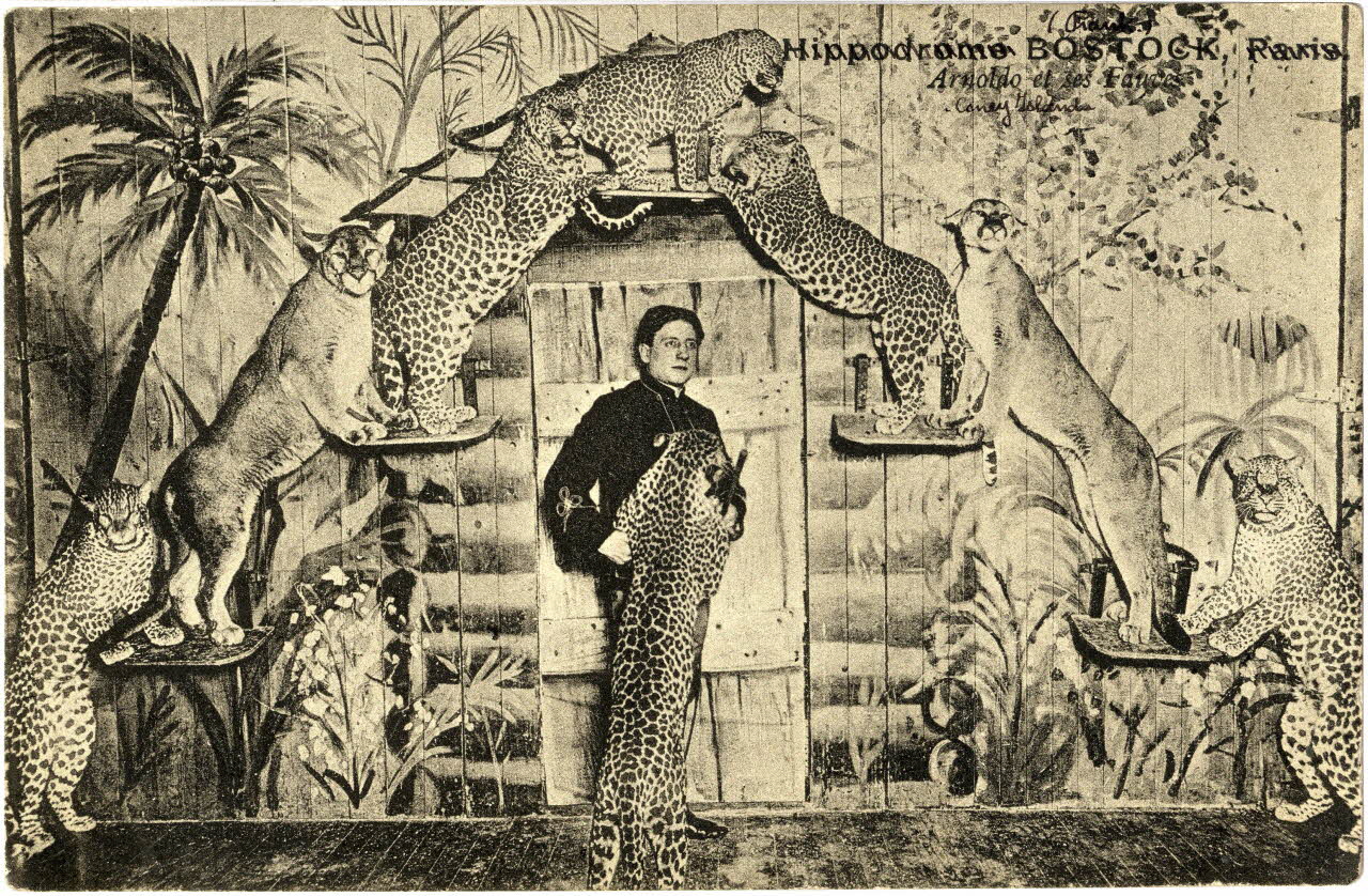 Frank Bostock. Arnoldo et ses fauves. Coney Island. Sou.7.16.2 Photo
