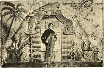 Frank Bostock. Arnoldo et ses fauves. Coney Island. Sou.7.16.2 Photo