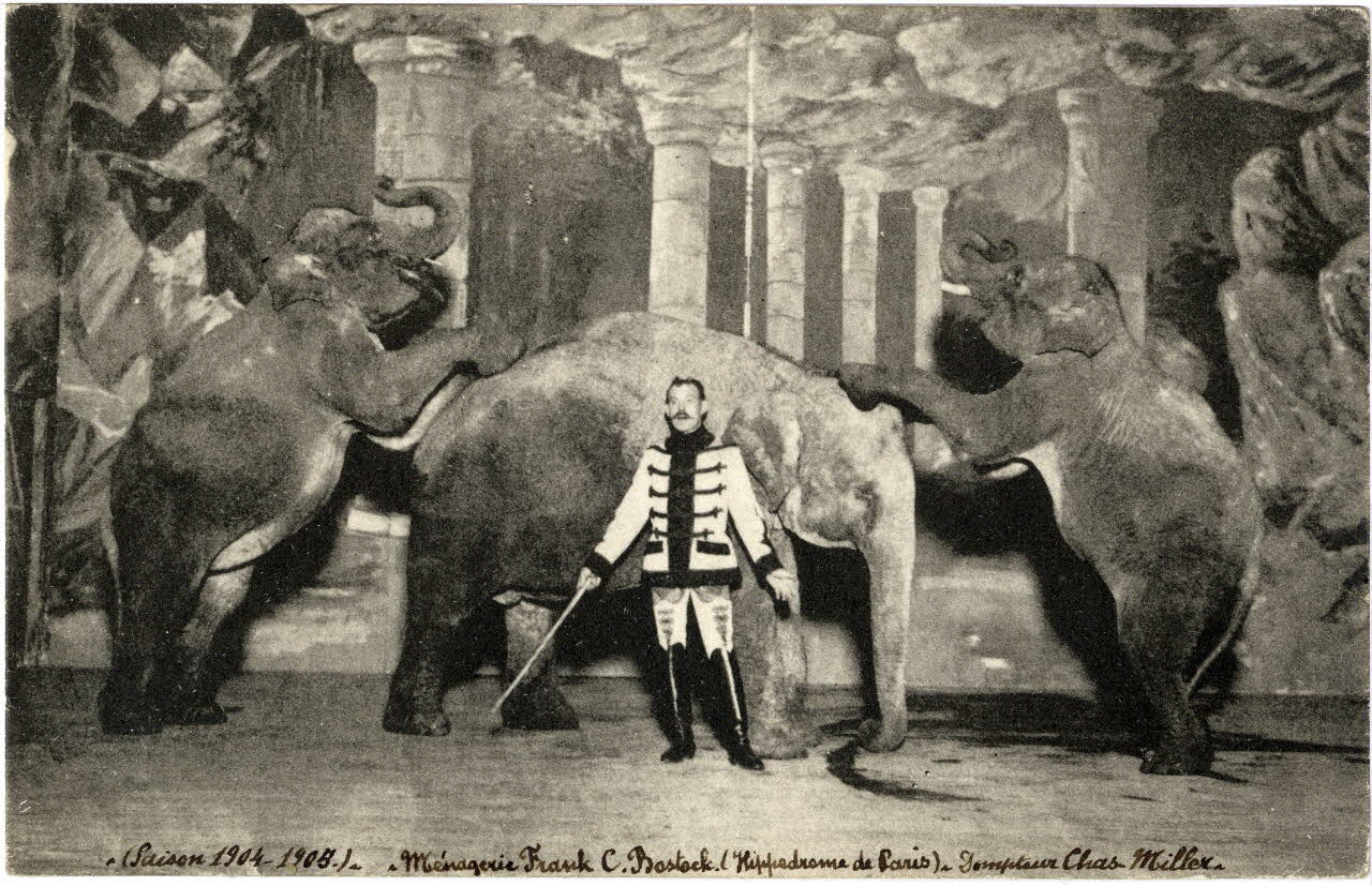 Anonyme Saison 1904-1905. Ménagerie Frank C. Bostock (hippodrome de Paris). Dompteur Chas Miller Paris 1904-1905 Sou.7.28.1  Photo