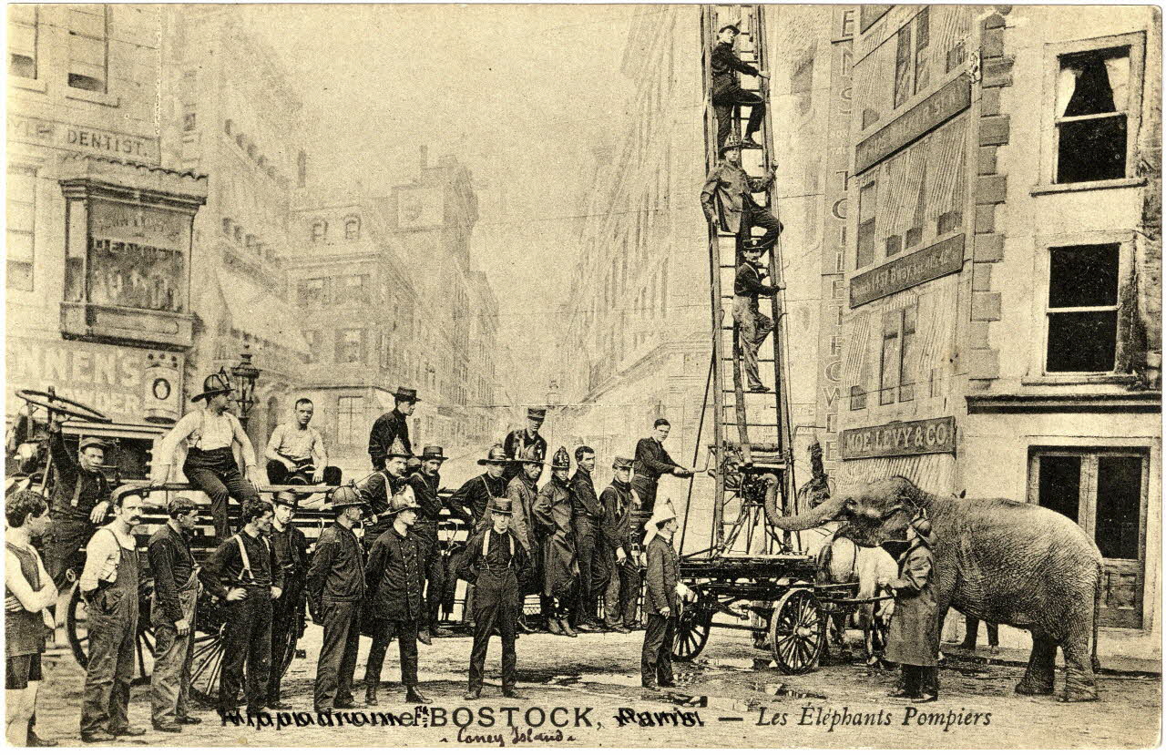Bostock. Les éléphants pompiers. Coney Island. Sou.7.28.2 Photo