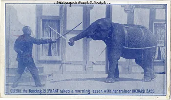 Ménagerie Frank C. Bostock. Queenie the fencing elephant takes a morning lesson with her trainer Richard Bass. Sou.7.31.2 Photo