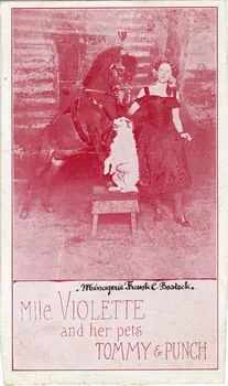 Ménagerie Franck C. Bostock. Mlle Violette and her pets Tommy et Punch. Sou.7.34.1 Photo