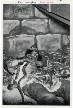 Anonyme Hippodrome Bostock. Osco, l'ophiophage. Saison 1903-1904 1903-1904 Sou.7.36.2 Photo