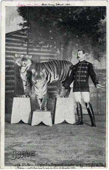 C. Nesenshon Bostock hippodrome. Saison 1903-1904. Ch. Miller (5 tigres) Depew et Grace, animaux repris en 1905 par le dompteur Henrichmann et Denver mort à Paris dans la nuit du 30 au 31 décembre 1905 New York (Etats-Unis d'Amérique) 1903-1904 Sou.7.8.1  Photo