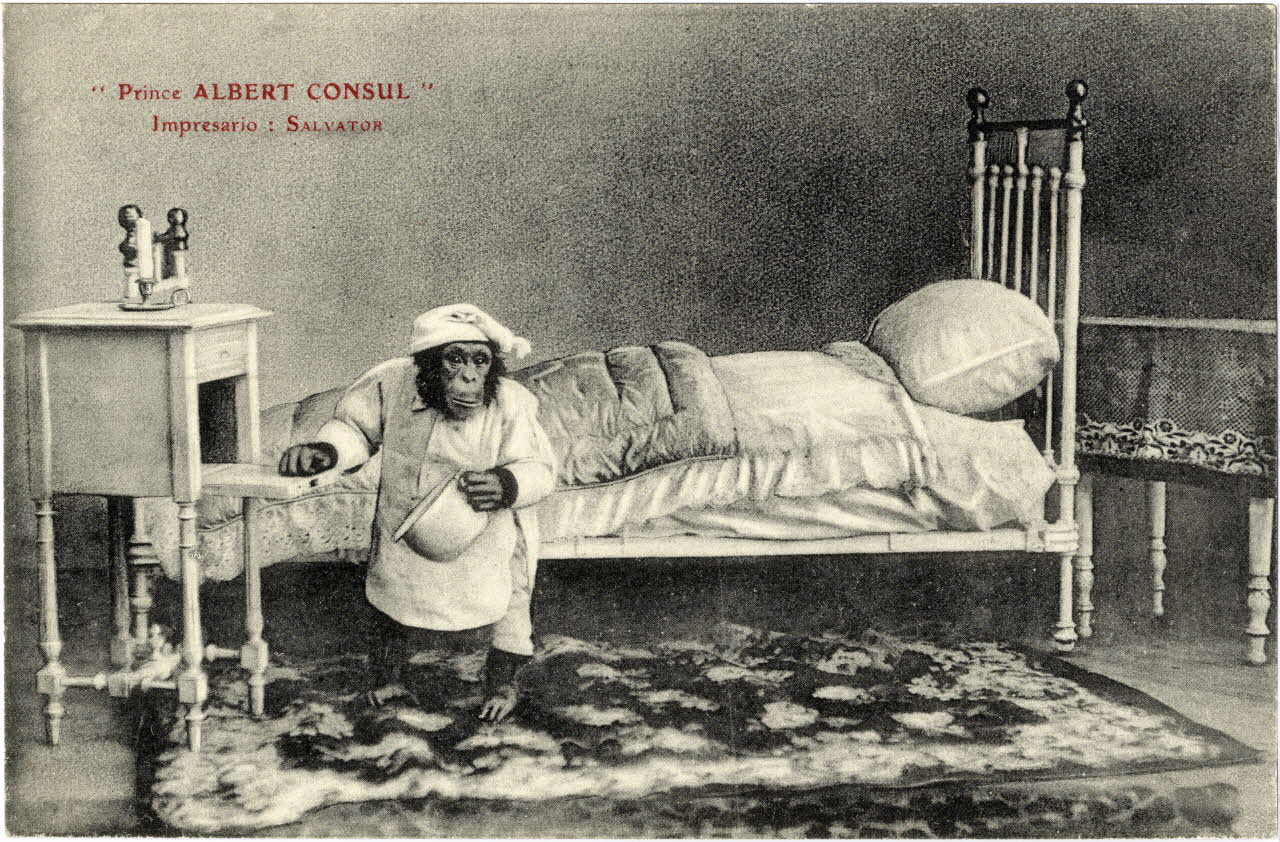 Prince Albert Consul. Impresario : Salvator (M. Laborde). Sou.8.118.1 Photo