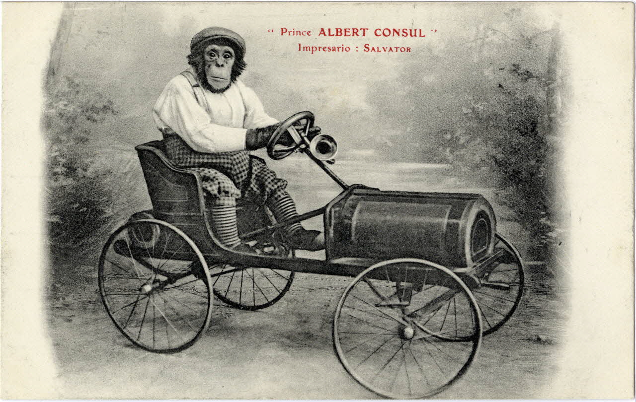 Prince Albert Consul. Impresario : Salvator (M. Laborde). Sou.8.119.2 Photo