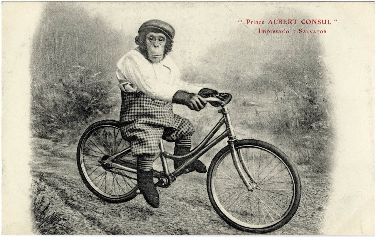 Prince Albert Consul. Impresario : Salvator (M. Laborde). Sou.8.120.1 Photo