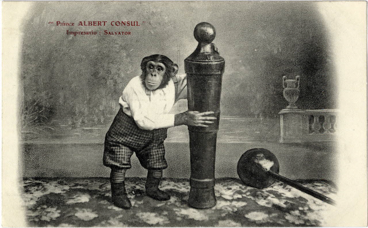 Prince Albert Consul. Impresario : Salvator (M. Laborde). Sou.8.120.2 Photo