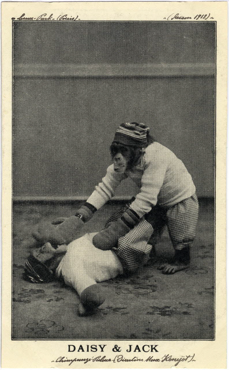 Anonyme Luna Park (Paris) (saison 1913). Daisy et Jack. Chimpanzé Palace (direction Max Konyöt). Paris 1913 Sou.8.124.2 Photo