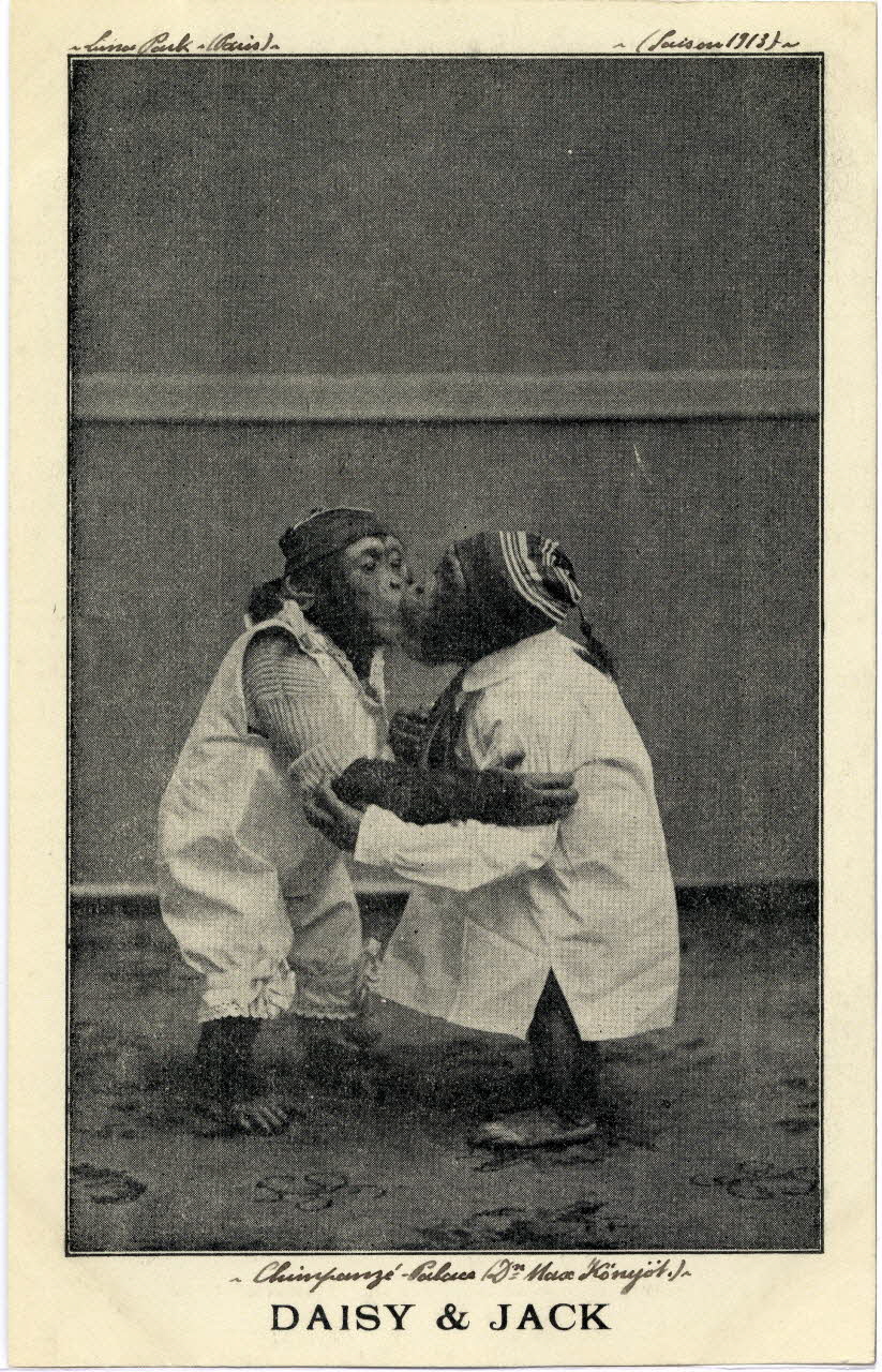 Anonyme Luna Park (Paris) (saison 1913). Daisy et Jack. Chimpanzé Palace (direction Max Konyöt). Paris 1913 Sou.8.125.2 Photo