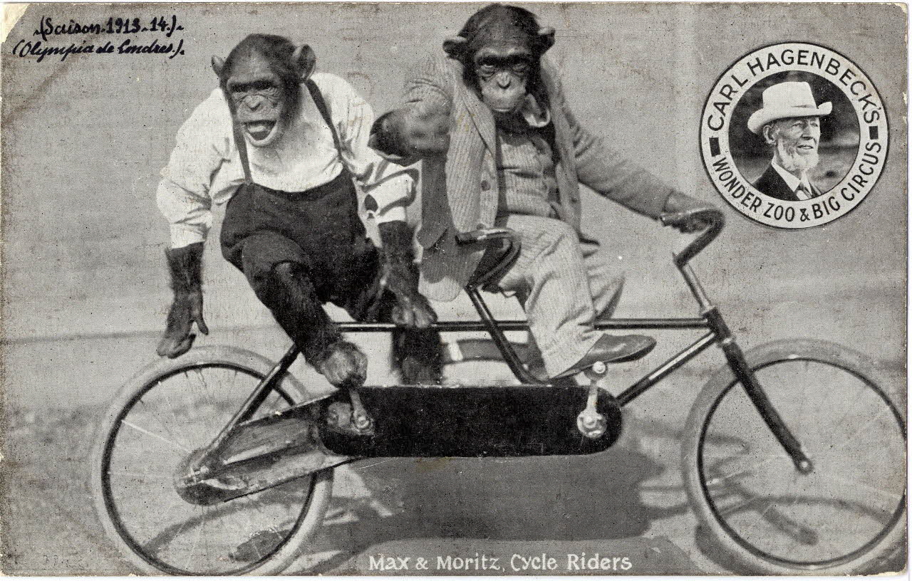Anonyme Carl Hagenbeck's wonder zoo and big circus. Saison 1913-14. Olympia de Londres. Max et Moritz cycle riders 1913-1914 Sou.8.128.2 Photo
