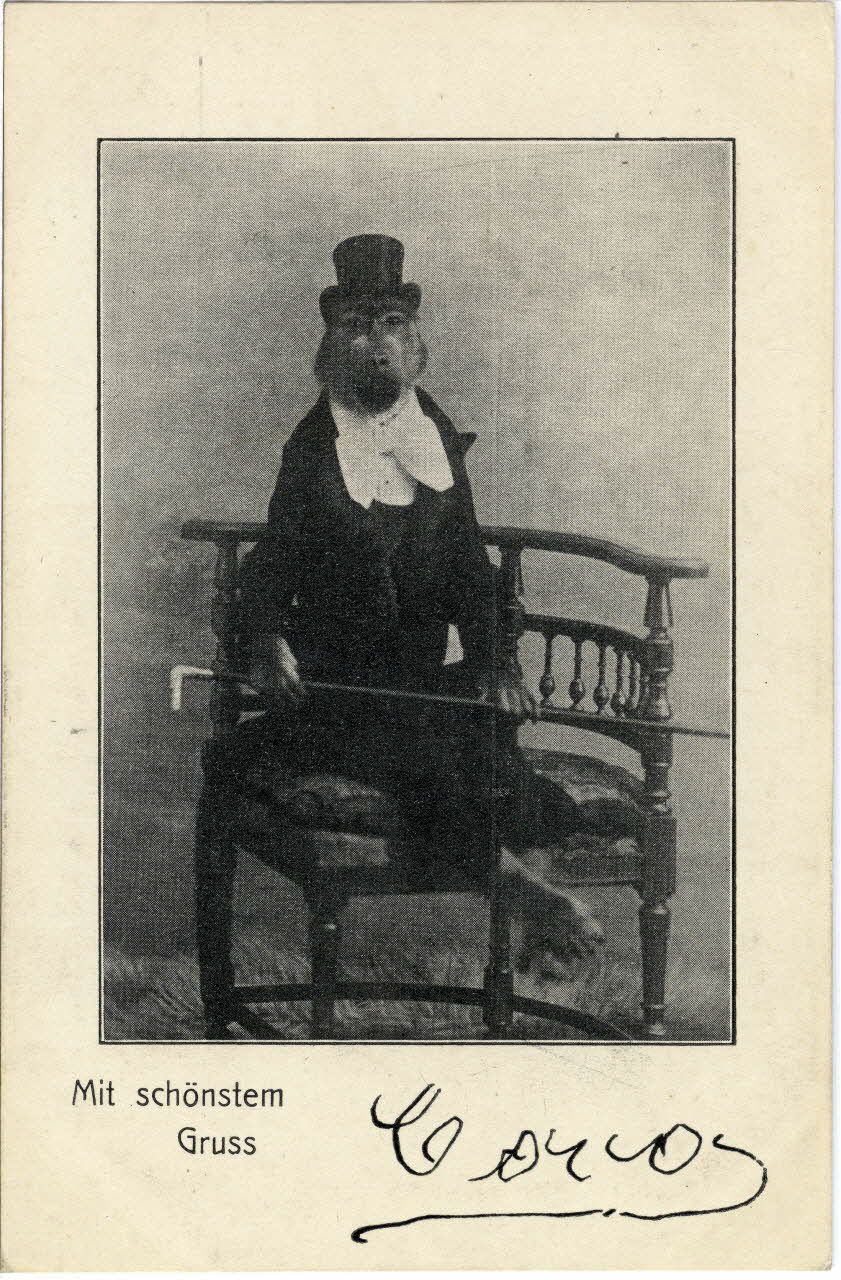 Mit schönstem Gruss. Sou.8.131.2 Photo