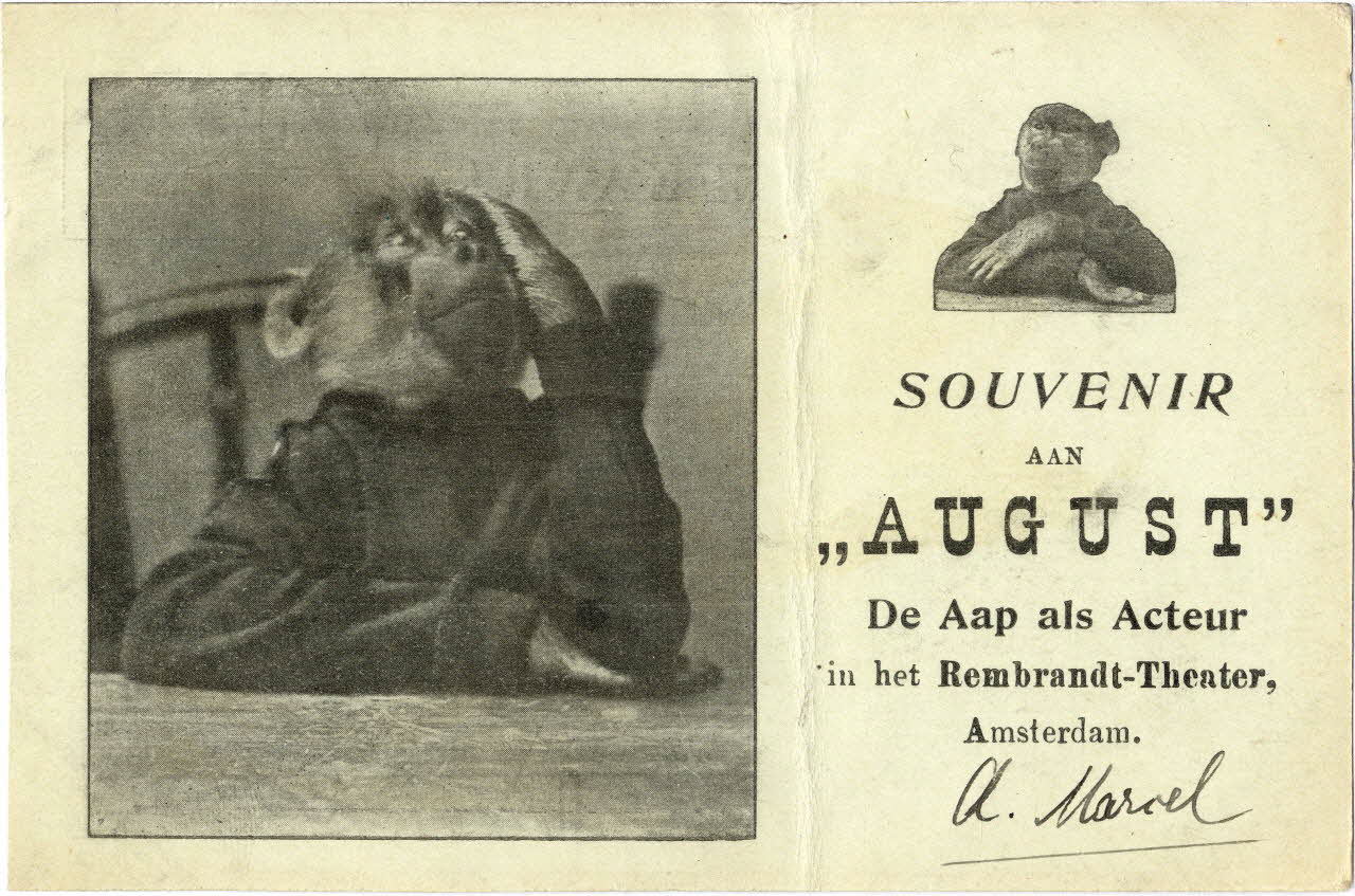 Souvenir aan August de aap als acteur in het Rembrandt-Theater, Amsterdam Sou.8.132.1 Photo