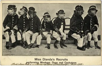 E. A. Paris. Luna Park. Chimpanzé Palace (Dor. Max Konyöt). Saison 1913-1914. Miss Dianda's recruits performing monkeys. Dogs and Cockatoos Paris 1913-1914 Sou.8.133.2  Photo