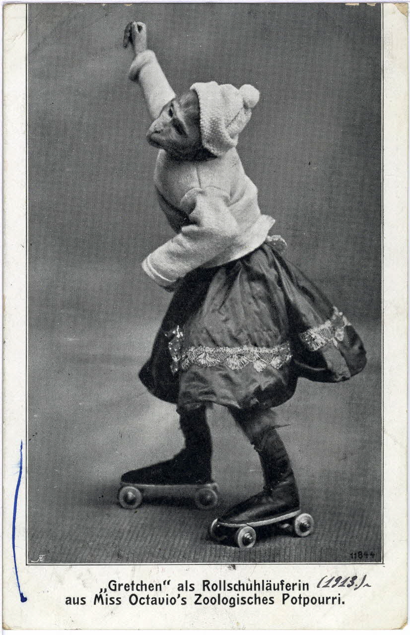 F.L. Gretchen als Rollschuhläuferin aus Miss Octavio's zoologisches Potpourri. 1913. 1913 Sou.8.135.1 Photo