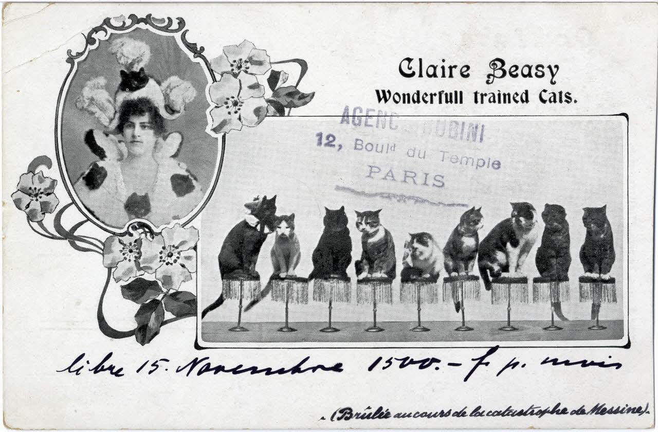 Claire Beasy, wonderfull trained cats (brûlée au cours de la catastrophe de Messine). Sou.8.142.1 Photo