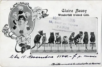 Claire Beasy, wonderfull trained cats (brûlée au cours de la catastrophe de Messine). Sou.8.142.1 Photo