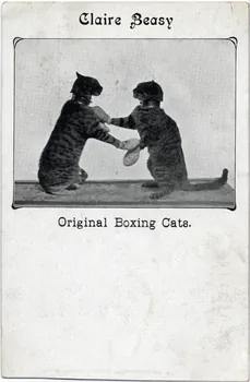 Claire Beasy. Original boxing cats. Sou.8.142.2 Photo