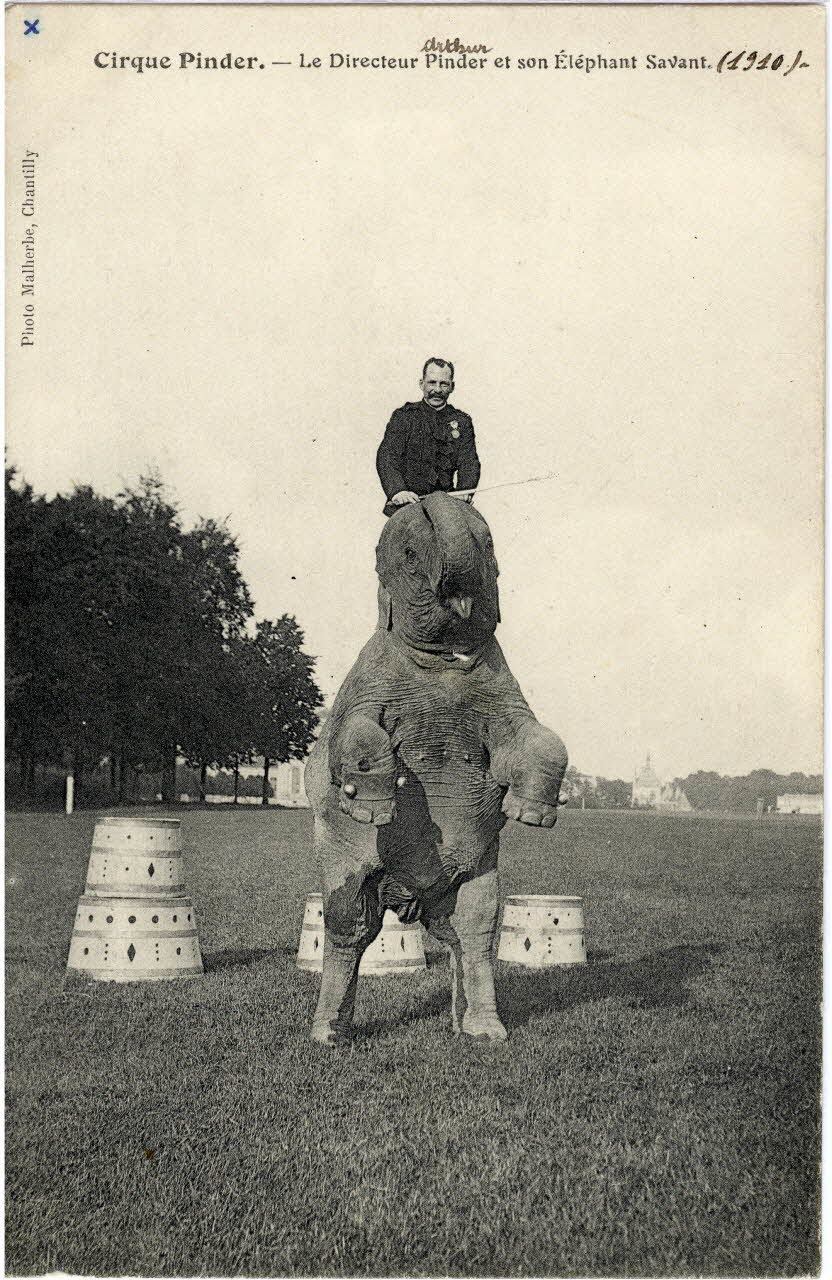 Malherbe Cirque Pinder. Le directeur Arthur Pinder et son éléphant savant (1910). [Au verso :] M. Arthur Pinder mort le 20 janvier 1924 à Montauban (52 ans). Chantilly (60) 1910 Sou.8.15.1 Photo