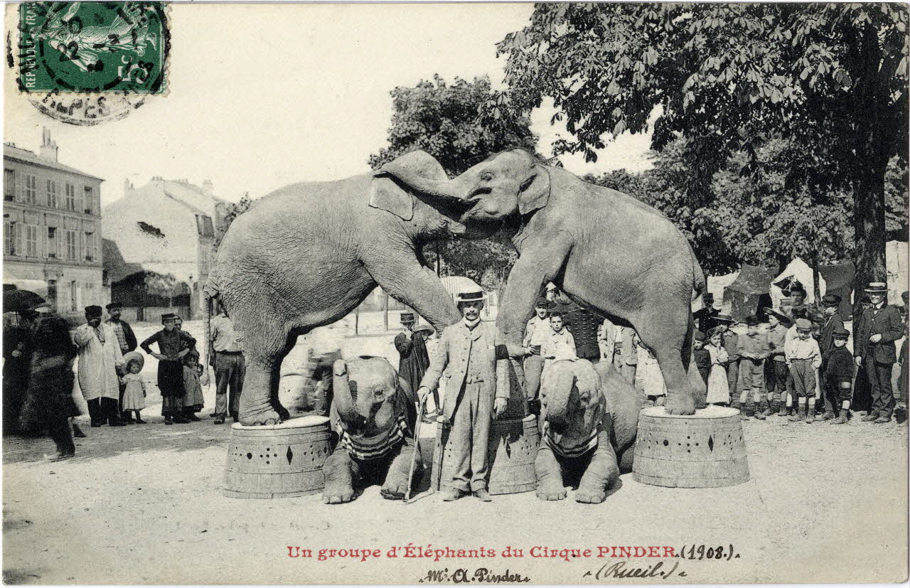 Anonyme Un groupe d'éléphants du cirque Pinder (1908). Rueil. M. A.Pinder. Hauts-de-Seine 1908 Sou.8.19.1 Photo