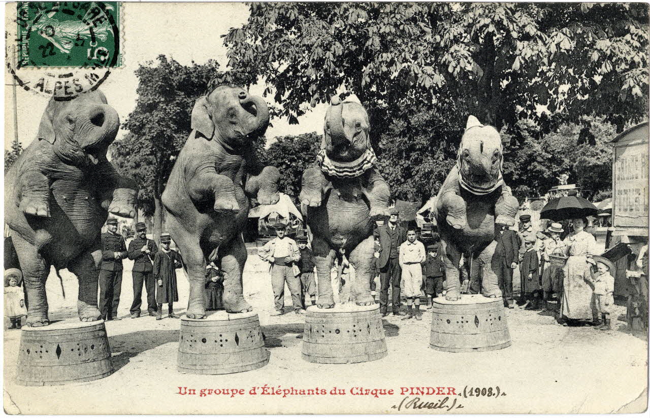 Anonyme Un groupe d'éléphants du cirque Pinder (1908). Rueil. M. A.Pinder. Hauts-de-Seine 1908 Sou.8.19.2 Photo