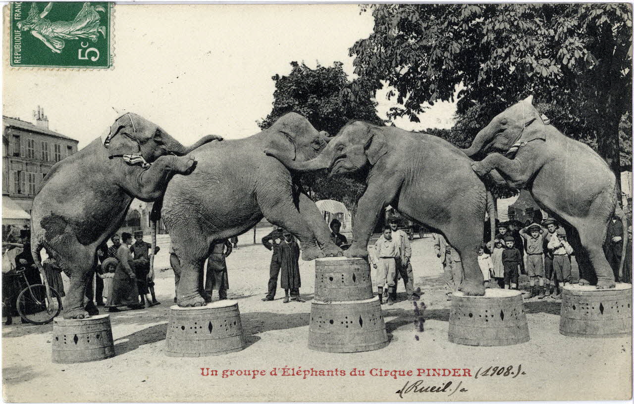 Anonyme Un groupe d'éléphants du cirque Pinder (1908). Rueil. M. A.Pinder. Hauts-de-Seine 1908 Sou.8.20.1 Photo