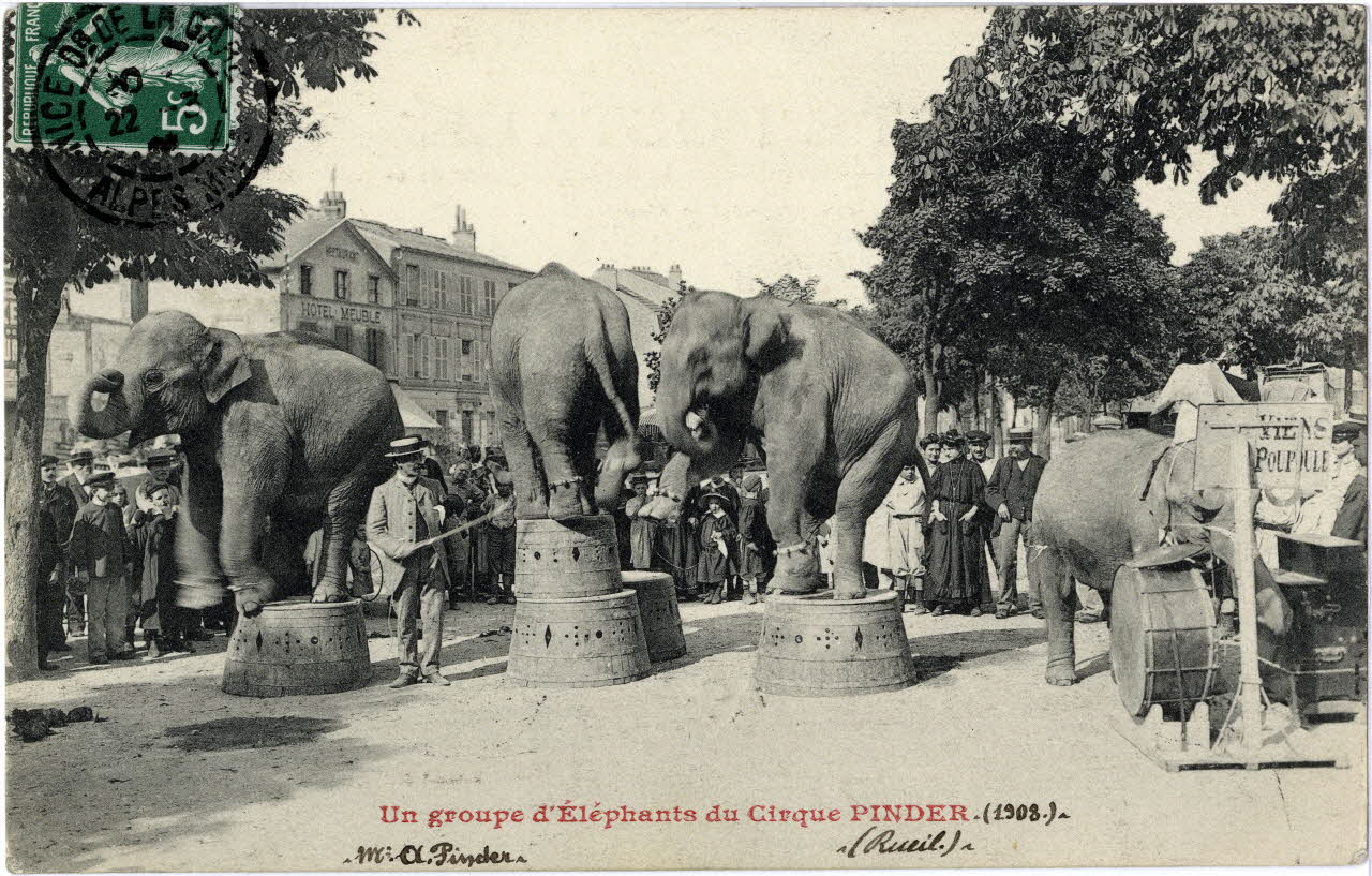 Anonyme Un groupe d'éléphants du cirque Pinder (1908). Rueil. M. A.Pinder. Hauts-de-Seine 1908 Sou.8.20.2 Photo