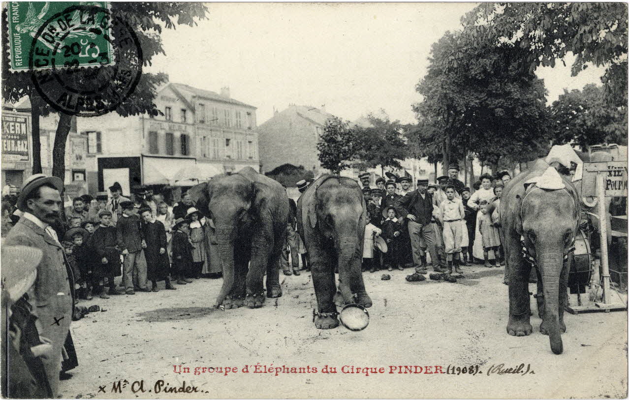 Anonyme Un groupe d'éléphants du cirque Pinder (1908). Rueil. M. A.Pinder. Hauts-de-Seine 1908 Sou.8.21.2 Photo