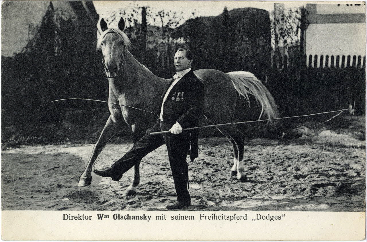Direktor Wm Olschansky mit seinm Freiheitspferd dodges. Sou.8.45.2 Photo