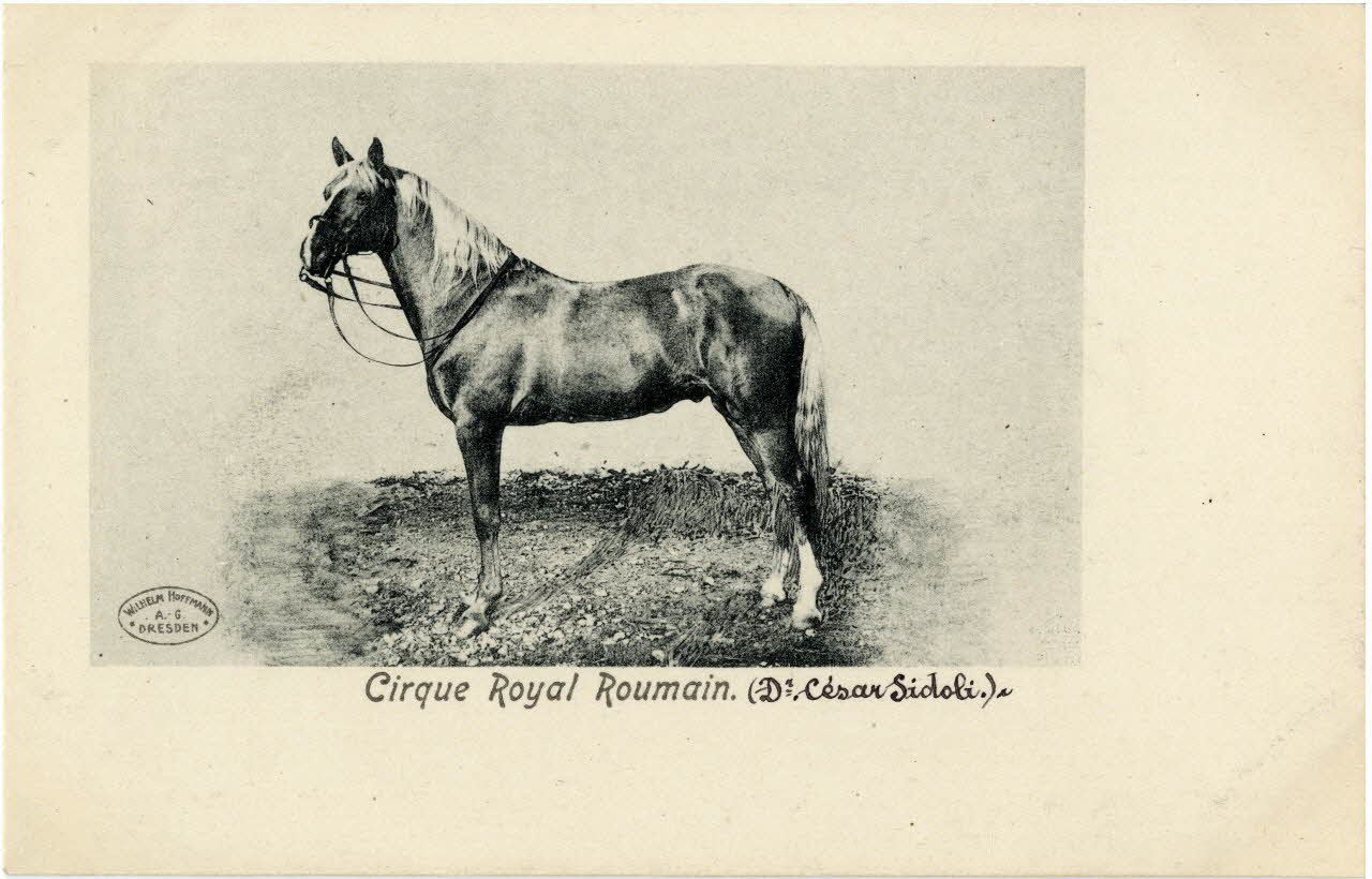 Cirque royal roumain (Dr César Sidoli). Sou.8.46.1  Photo