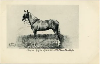 Cirque royal roumain (Dr César Sidoli). Sou.8.46.1 Photo