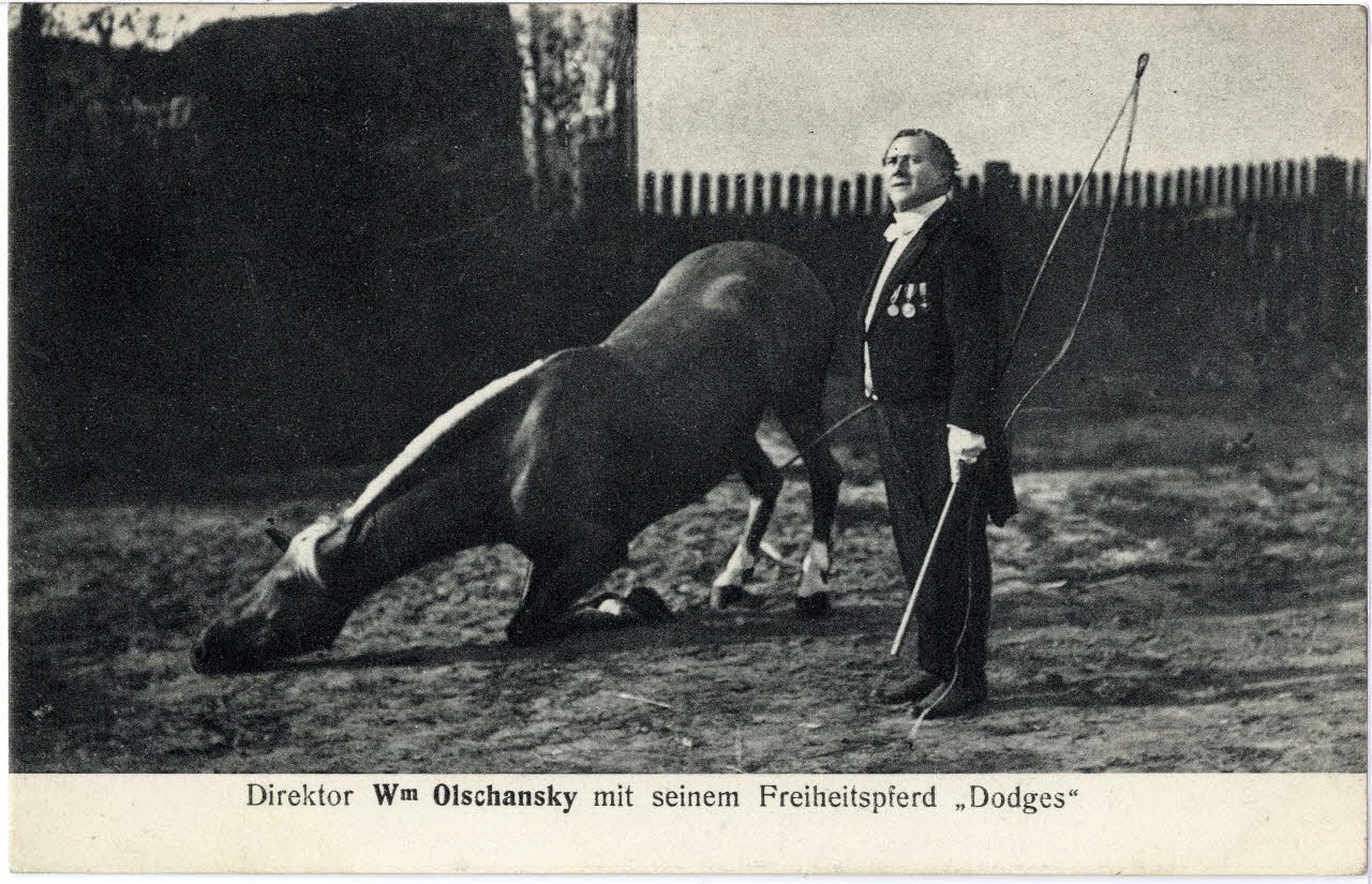 Direktor Wm Olschansky mit seinm Freiheitspferd dodges. Sou.8.46.2 Photo