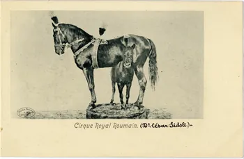 Cirque royal roumain (Dr César Sidoli). Sou.8.47.1 Photo
