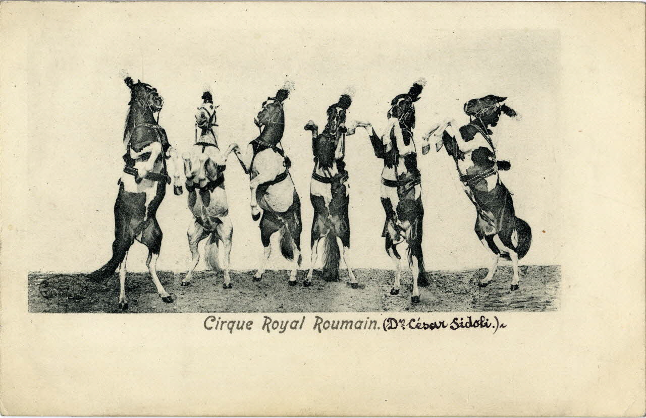 Cirque royal roumain (Dr César Sidoli). Sou.8.48.2  Photo