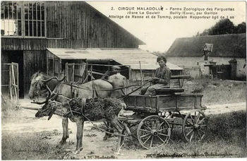Cirque Maladolli. Ferme zoologique des Farguettes (gare Le Goulet). Bailly (Eure) par Gaillon. Attelage de renne et de Tommy, poulain rapporteur âgé de 1 an. [de gauche à droite :] M. Maladolli, Mme Delabouglise. Sou.8.82.2 Photo