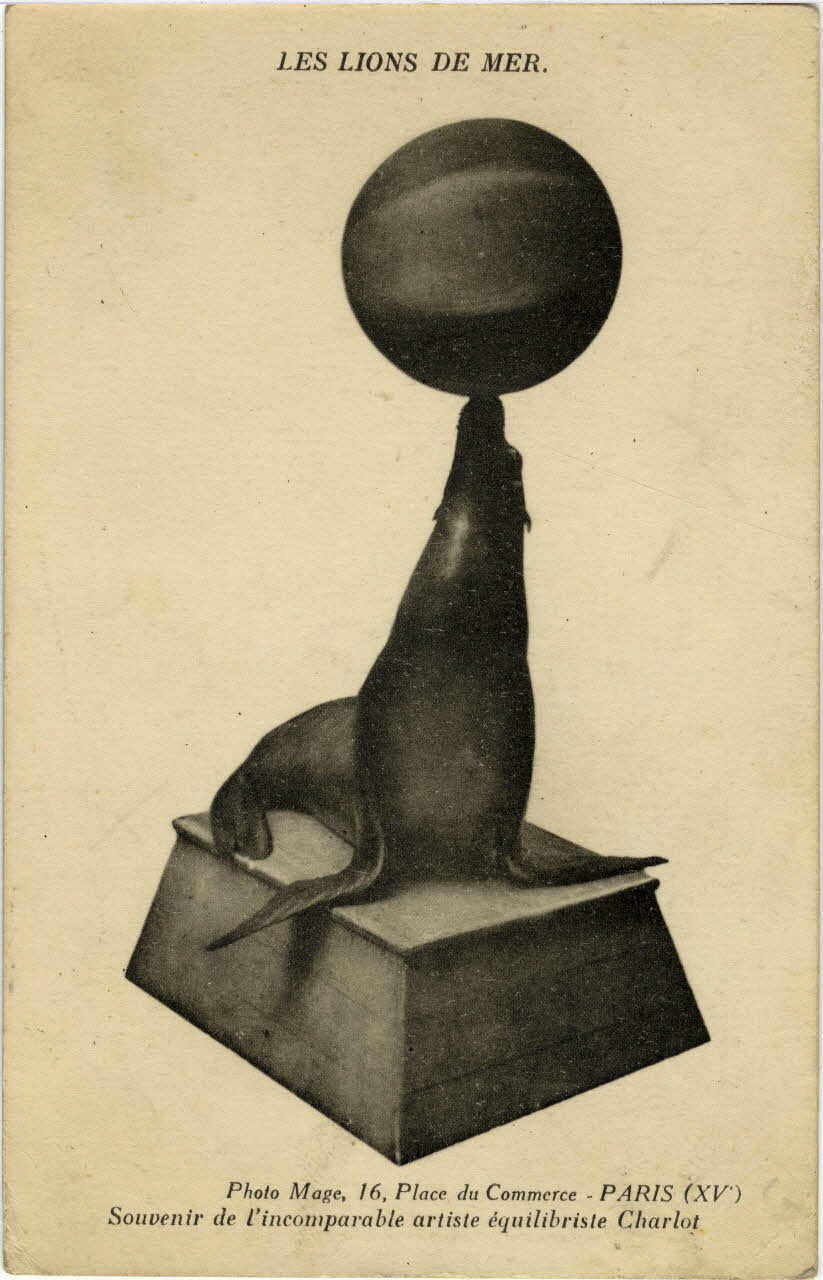 Les lions de mer. Souvenir de l'incomparable artiste équilibriste Charlot. Sou.9.110.1 Photo