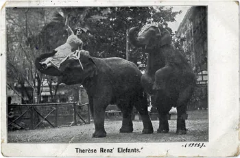 Therèse Renz' Elefants. Sou.9.120.2 Photo