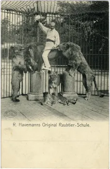 R. Havemann's original Raubtier-Schule Sou.9.16.1 Photo