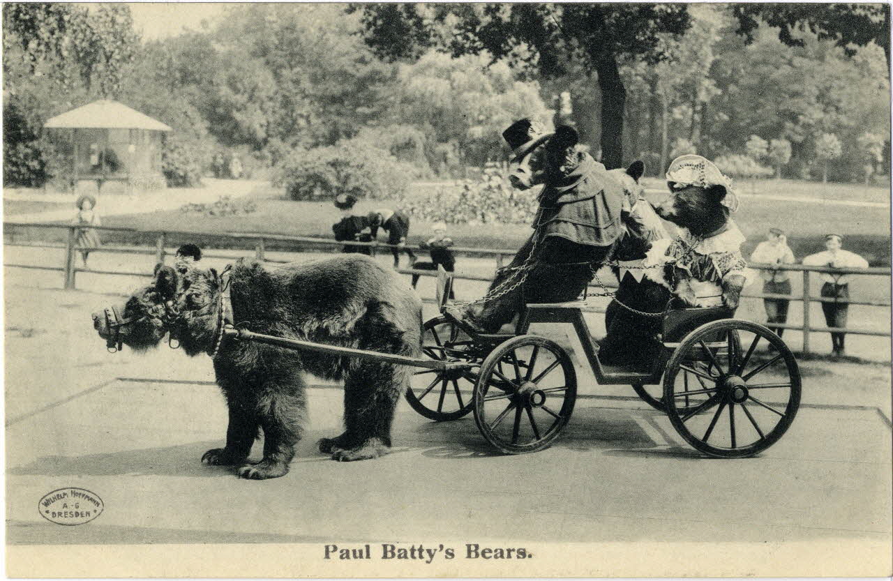 Paul Batty's bears. Sou.9.21.1  Photo