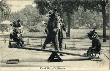 Paul Batty's bears. Sou.9.21.2 Photo
