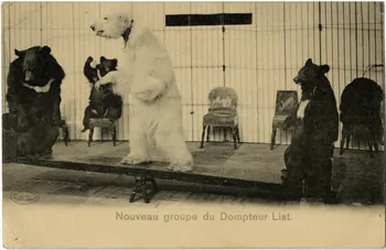 Paul Batty's bears. Sou.9.34.1 Photo
