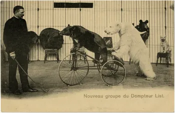 Paul Batty's bears. Sou.9.35.1 Photo